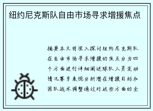 纽约尼克斯队自由市场寻求增援焦点 纽约尼克斯队自由市场寻求增援焦点