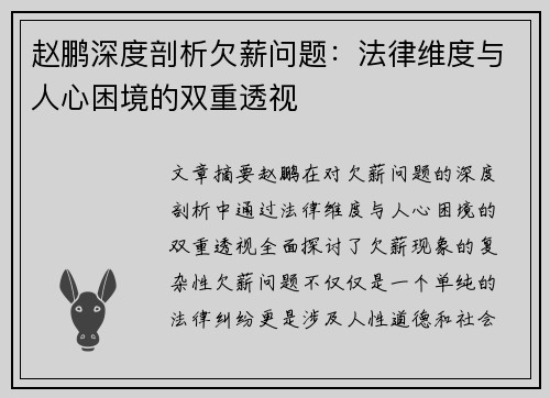 赵鹏深度剖析欠薪问题：法律维度与人心困境的双重透视